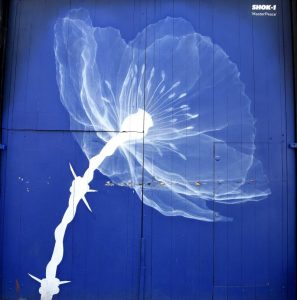 Shok-1