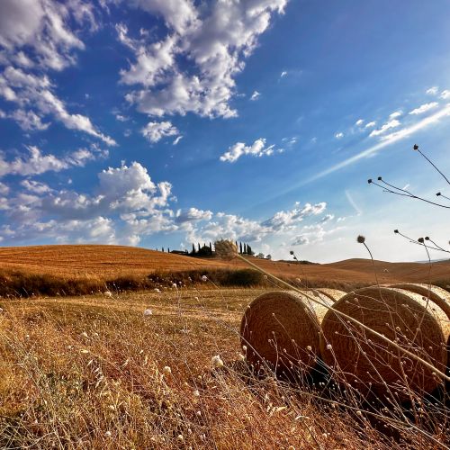 Crete-Senesi Text 1