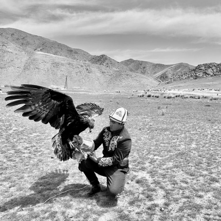 Adler 1