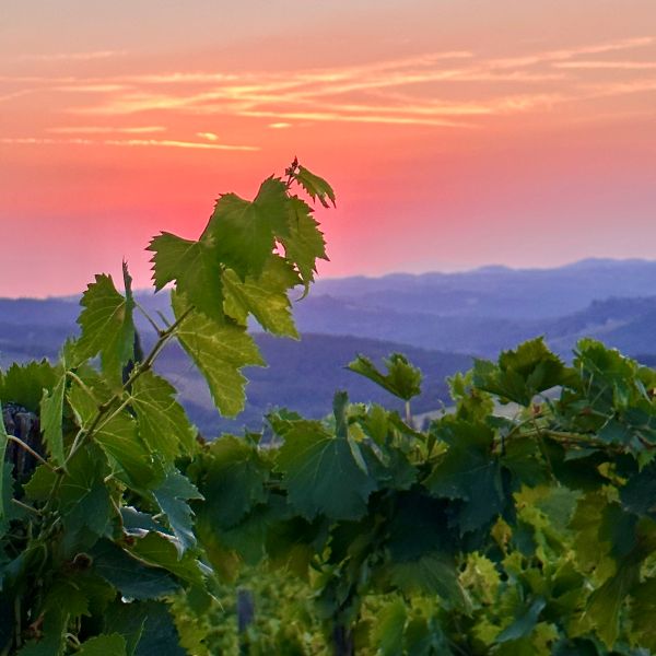 Sonnenuntergang im Chianti