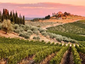 Chianti vs. Toskana