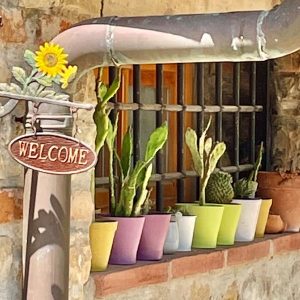 Impressionen Panzano 8