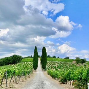 Panzano in Chianti 6
