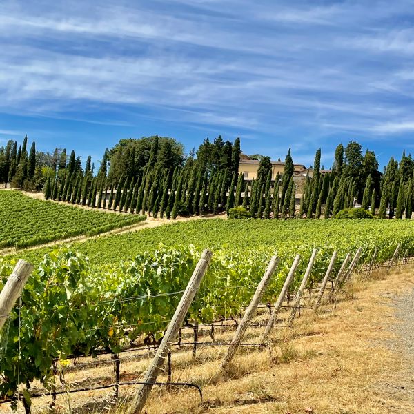 Radda in Chianti 7