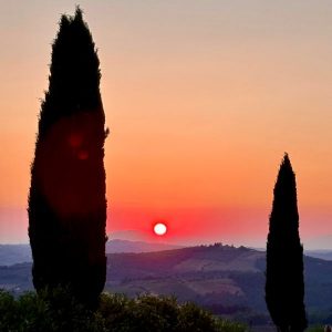 Sonnenuntergang in Panzano 9