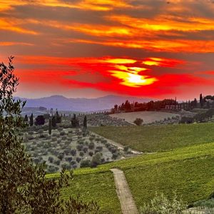 Sonnenuntergang in Panzano 9