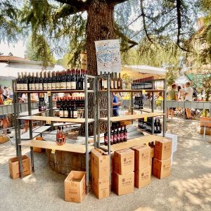 Sonntagsmarkt in Panzano 4