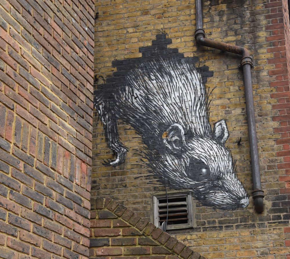 ROA - East London