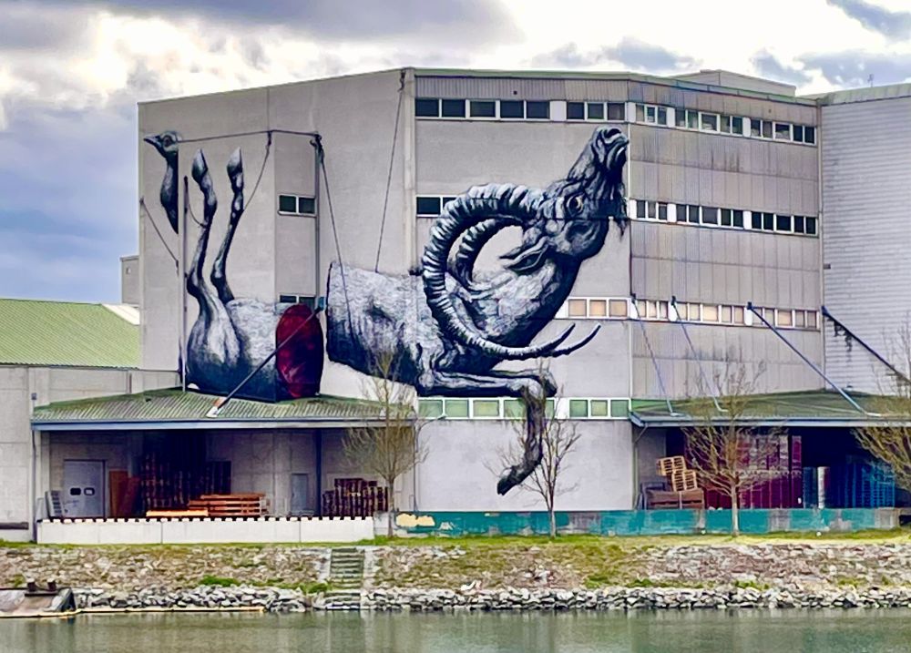 ROA, Geteilter Steinbock - Mural Harbor Linz