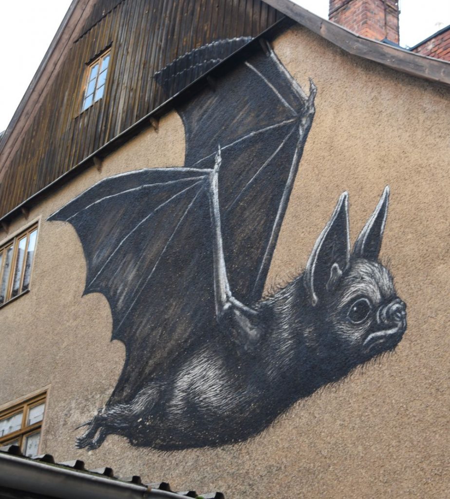 ROA - The Bat_Fledermaus (Schmalkalden)