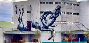 ROA Titel 1
