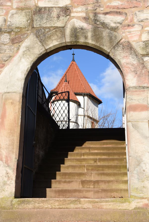 Schloss Wilhelmsburg 2