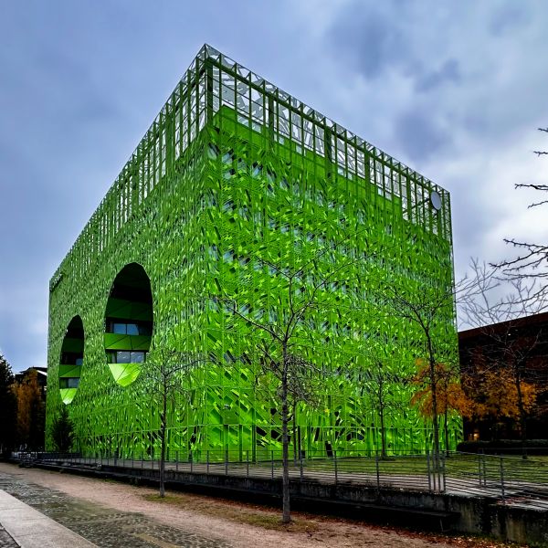 Cube Verde 1