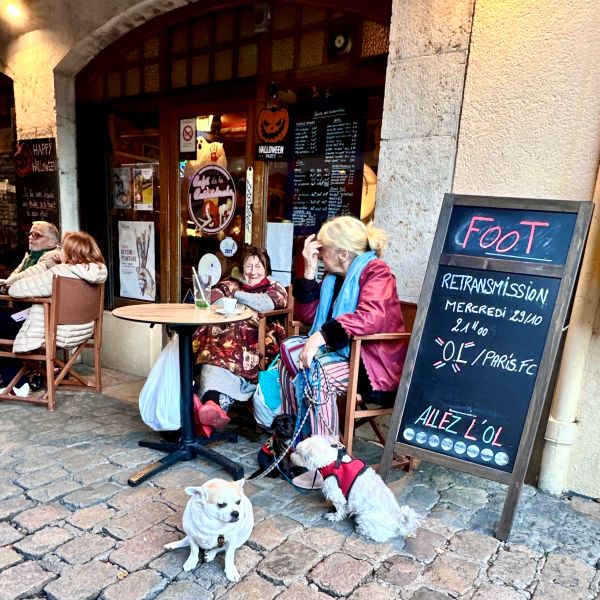 Lyon vor der Flusskreuzfahrt -Text 2