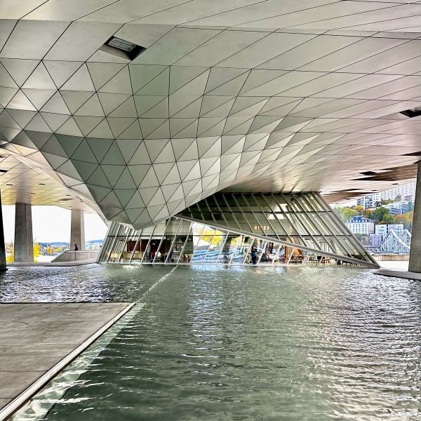 Musée des Confluences-Text 3