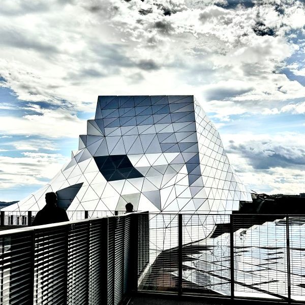 Musée des Confluences-Text 4