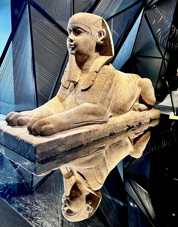 Musée des Confluences-Text 7