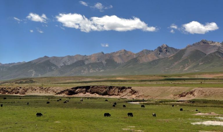 Tibet-Bahn Text4