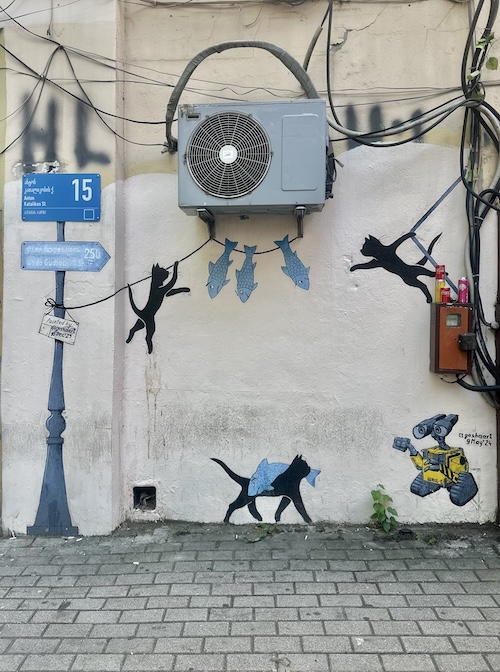 Goshaart Katzen 1