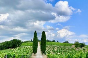 Panzano in Chianti 6